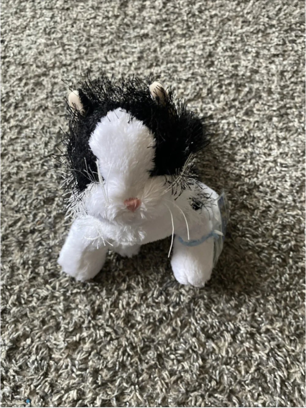 Webkinz Ganz HM016 Black and White Cat Plush Stuffed Animal Unopened Sealed Code